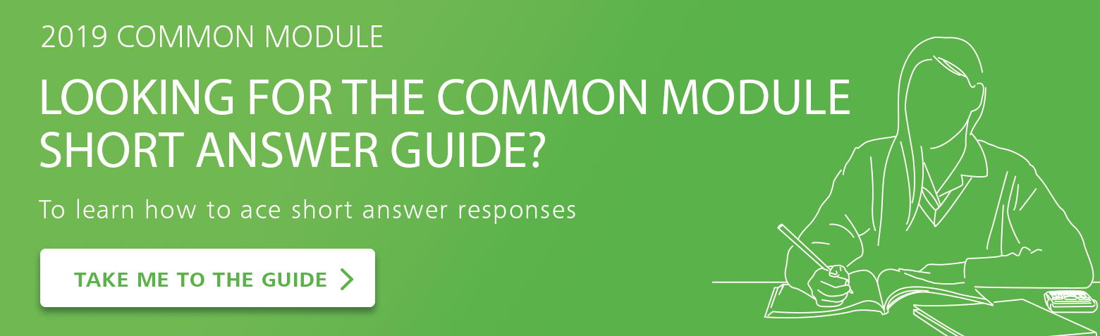 Common module essay sample picture