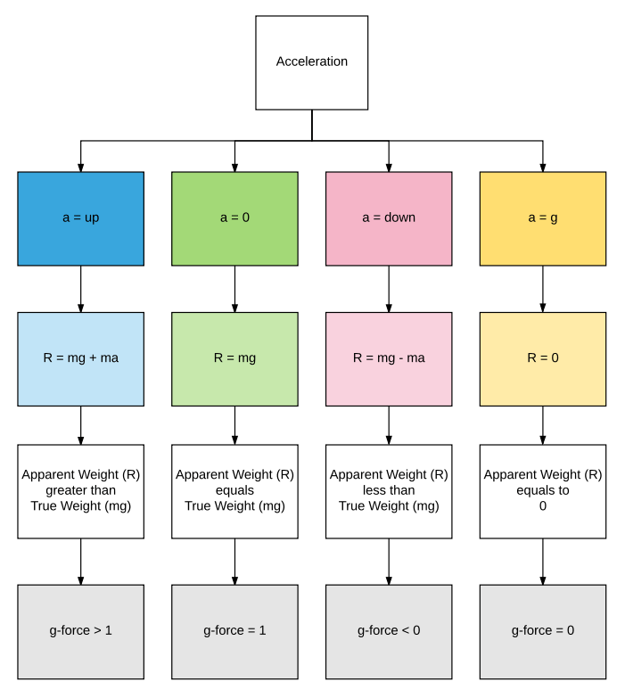 blog-6-must-know-tips-ace-your-physics-hsc-trial-apparent-weight-flowchart