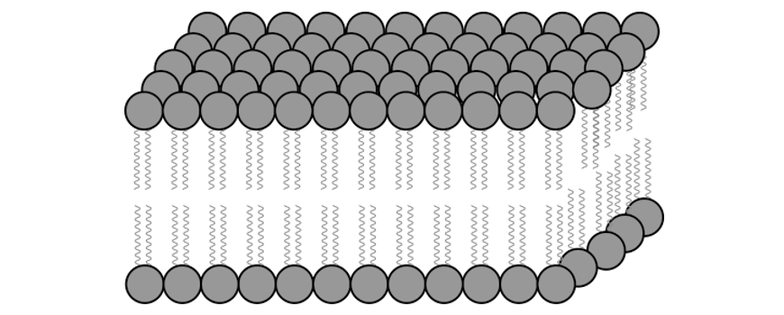 blog-y11-biology-practice-paper-question-2