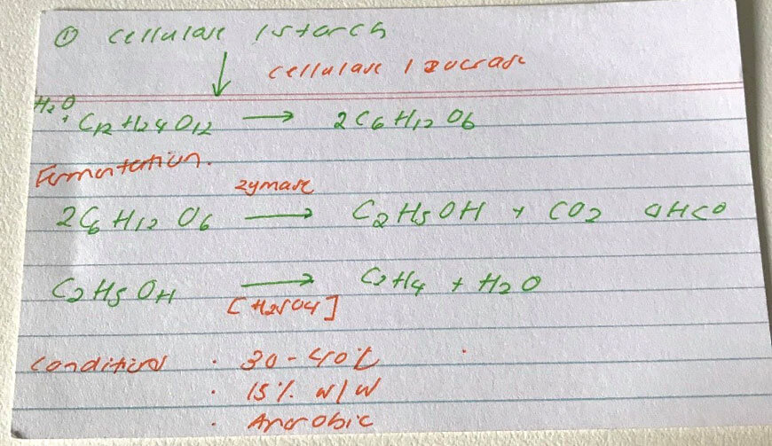 blog-hacks-martina-ta-how-i-went-from-ranked-48th-1st-in-chemistry-frasch-porcess-notes-flashcards