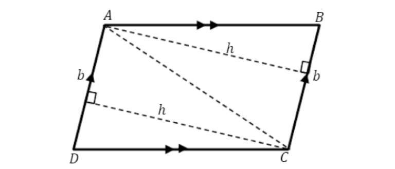 part 6 area year 7 maths guide free worksheet