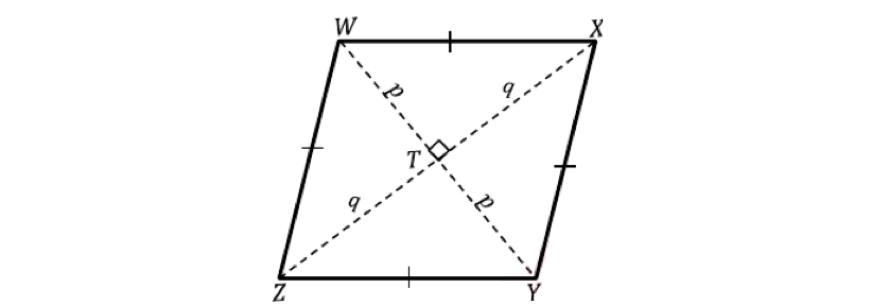 math-guides-year-7-part-6-year-7-area-rhombus