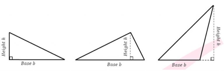 part 6 area year 7 maths guide free worksheet