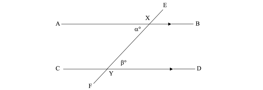 maths-guide-year-7-angle-relationships-alternate-angles