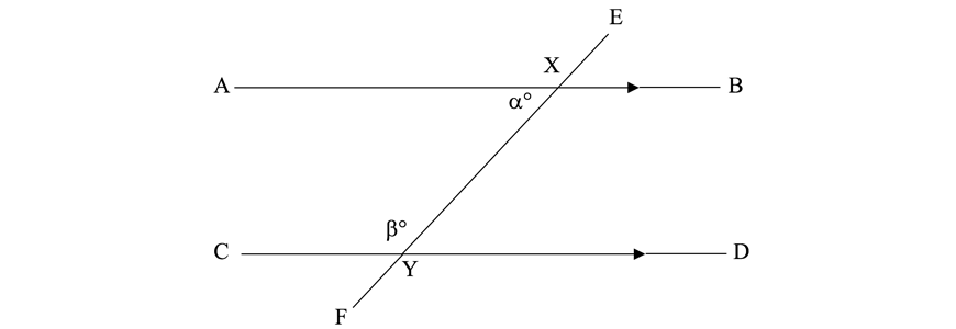 maths-guide-year-7-angle-relationships-cointerior