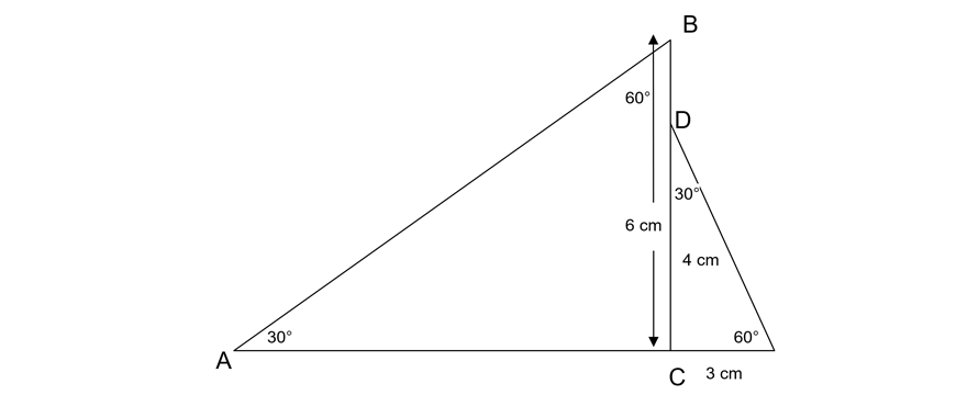 maths-guide-year-8-beginners-guide-part-8-year-8-similarity-checkpoint-question-8