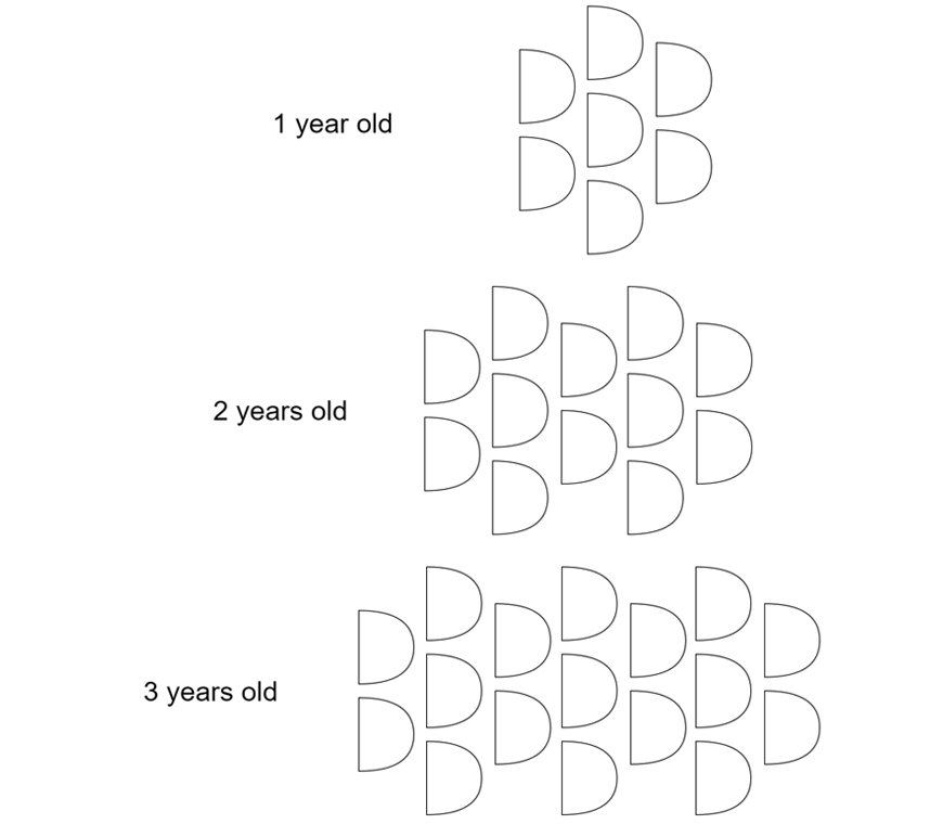 maths-guide-year-8-part-2-year-8-introduction-to-linear-relationships-example-3