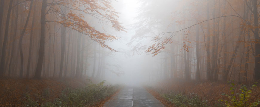 english-guide-year-7-and-8-how-do-techniques-convey-meaning-frost-poem