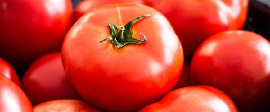 english-guide-year-7-and-8-how-do-techniques-develop-meaning-tomato