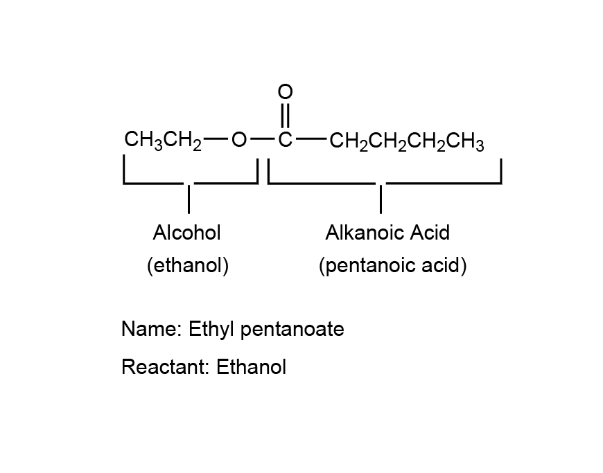 blog-chem-2019-hsc-chemistry-exam-paper-solutions-question-8-solution-diagram