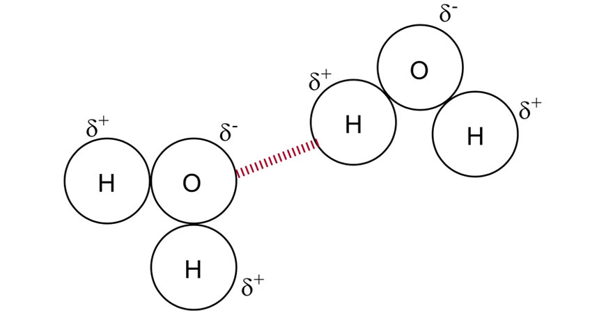 chemistry-guide-year-11-properties-and-structure-of-matter-mass-diagram-hydrogen-bonding