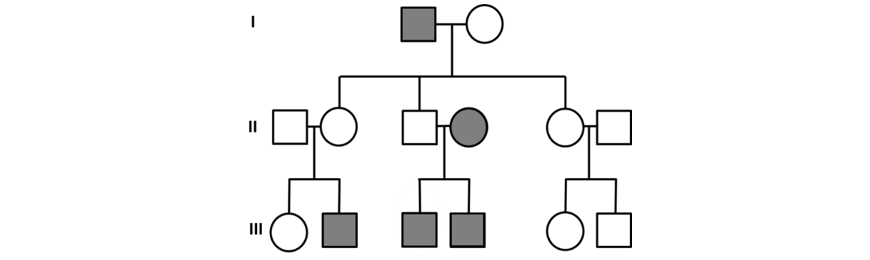 beginners-guide-to-year-12-biology-heredity-sex-linked-recessive.