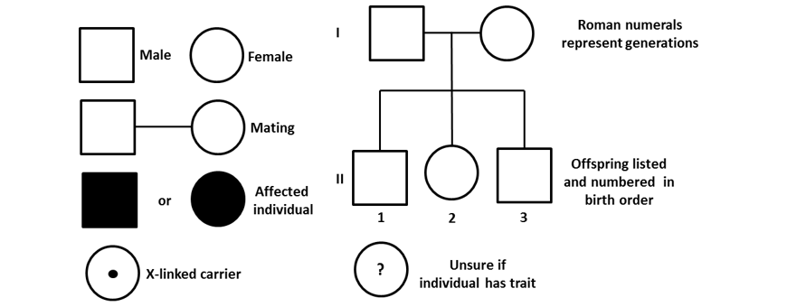 image showing standard symbols for notation