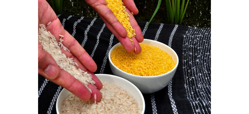 two bowls of raw rice that are different varieties