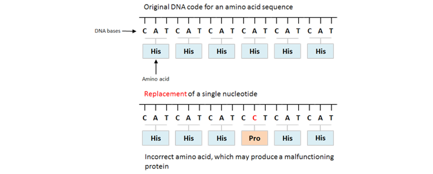 image showing DNA code for sickle cell anaemia