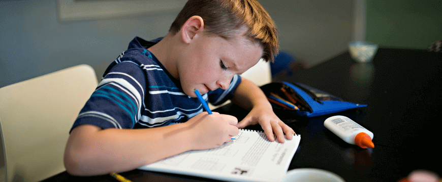 Year 5 student doing homework