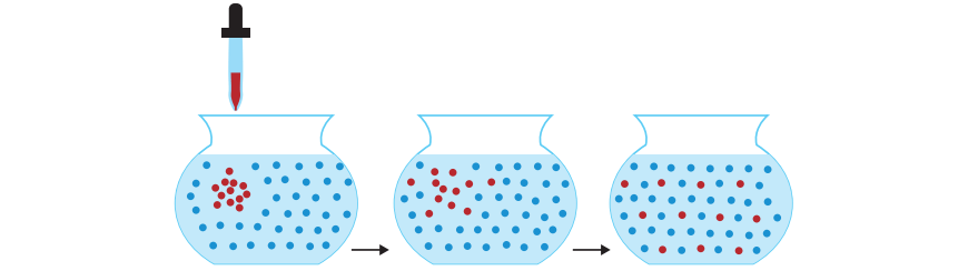 beginners-guide-year-11-biology-diffusion