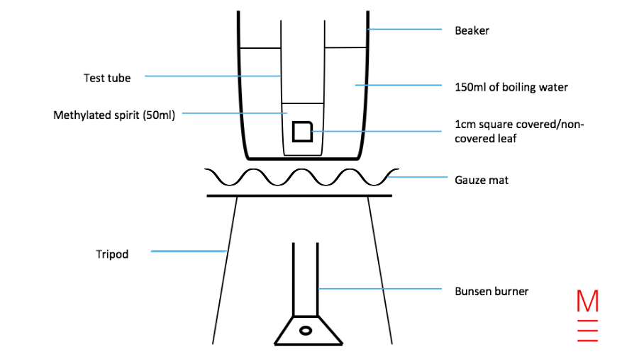 How to Write a Scientific Report | Step-by-Step Guide