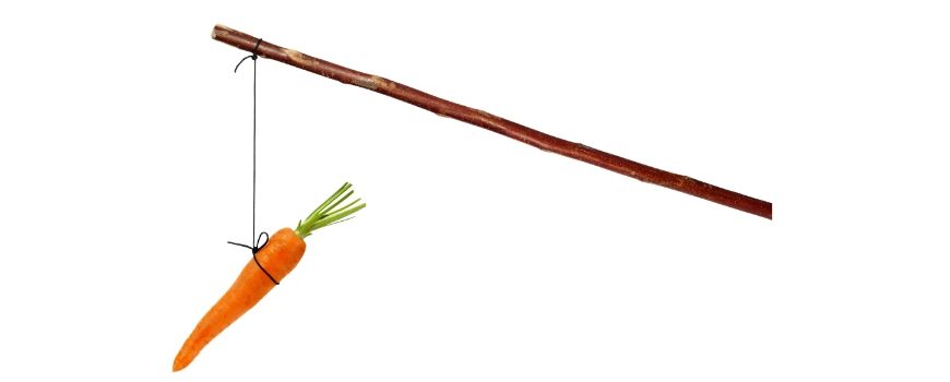 blog parents year 7 8 how to give feedback to your child carrot and stick