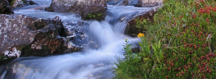 understanding mrs dalloway and the hours for module a stream of conciousness