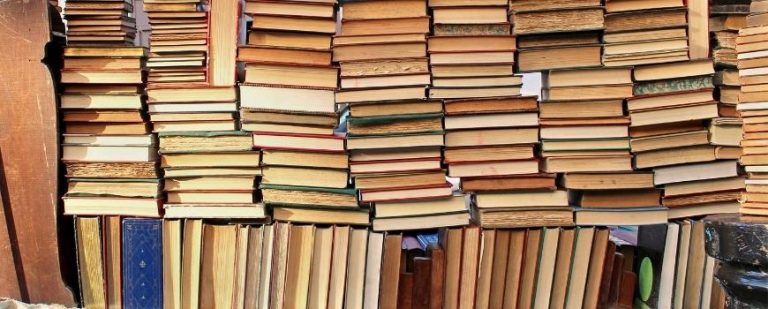 Language, identity and culture essay questions picture