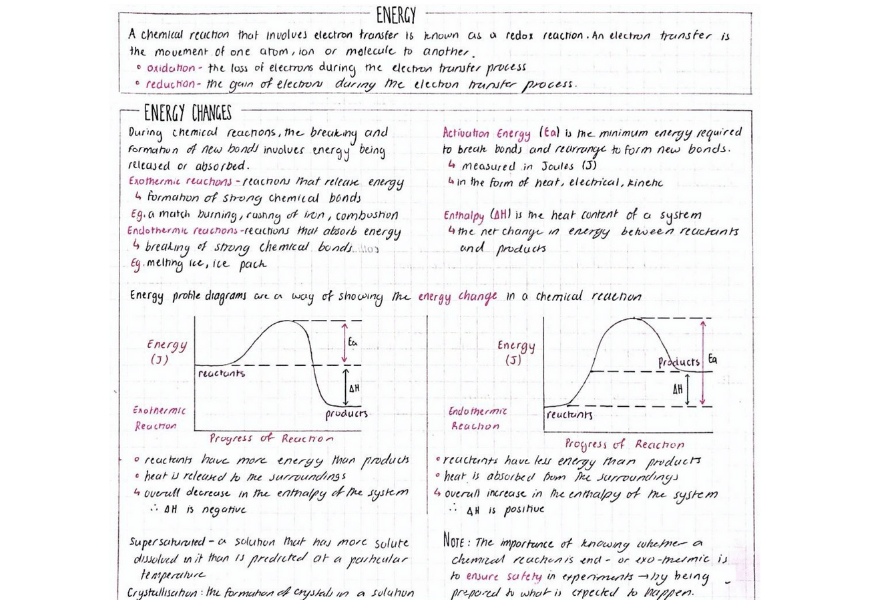blog-success-secrets-how-i-switched-to-a-selective-school-science-notes-memorising