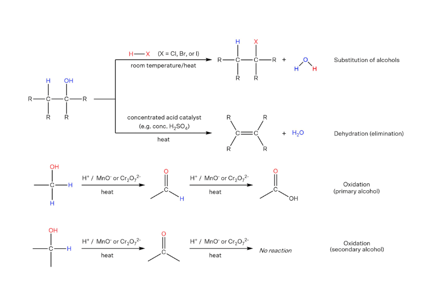 blog-chemistry-year-12-chemical-Important-chemical-reactions-year-12-students-must-know-reactions-of-alcohol-diagram