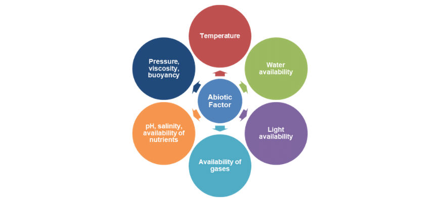 guide-biology-year-11-module-4-ecosystem-dynamics-abiotic-factors