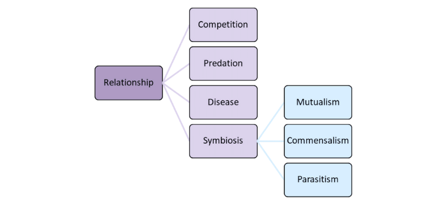 guide-biology-year-11-module-4-ecosystem-dynamics-biotic-relationships