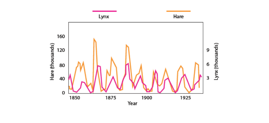 guide-biology-year-11-module-4-ecosystem-dynamics-predator-prey-chart-lynx-hare