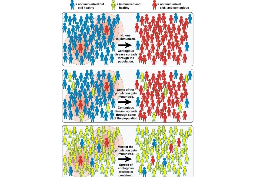 guide-biology-year-12-module-7-infectious-disease-herd-immunity