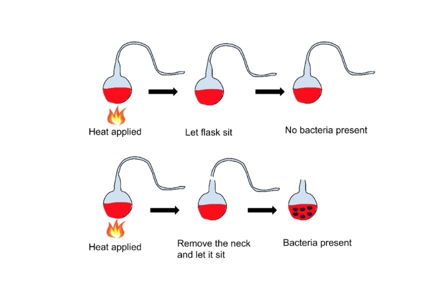 guide-biology-year-12-module-7-infectious-disease-antigenic-drift-of-flu