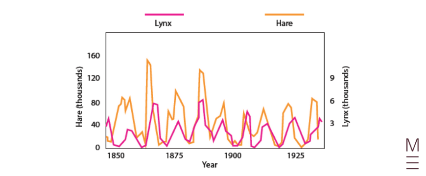 blog-biology-year-11-module-4-ecosystem-dynamics-practice-questions-lynx-hare-predator-prey-graph