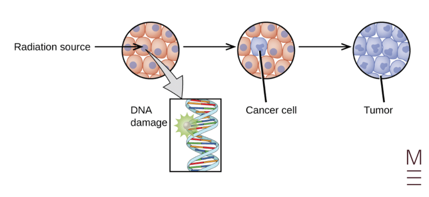 guide-biology-year-12-module-8-non-infectious-disease-and-disorders-cancer-cells