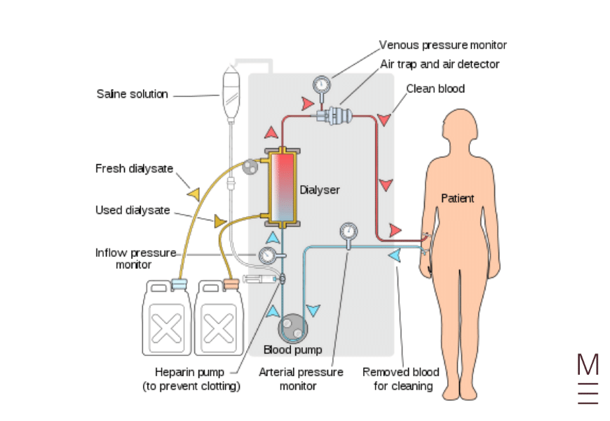 guide-biology-year-12-module-8-non-infectious-disease-and-disorders-kidney-function