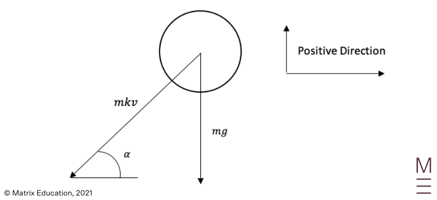 beginner_s-guide-to-year-12-extension2-maths-resisted_motion-resisted_motion_in_projectile_motion-figure3 diagram