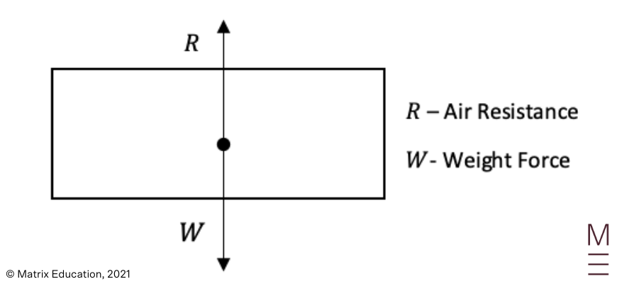 beginner_s-guide-to-year-12-extension2-maths-resisted_motion-resistive_forces-figure1 diagram