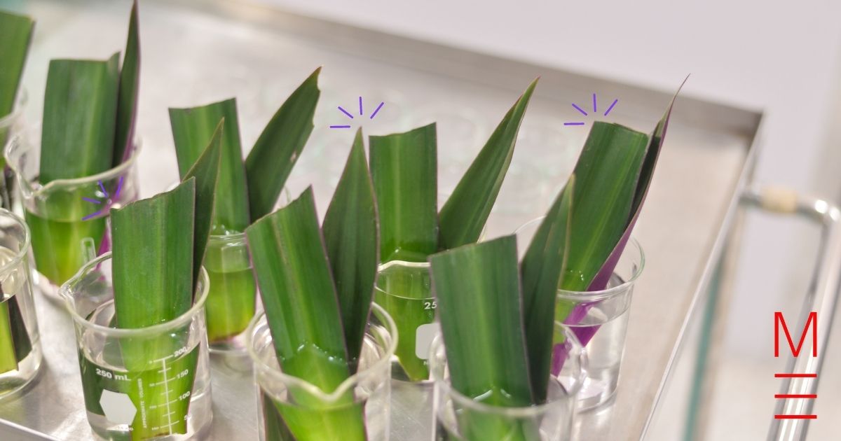 3 Biology Study hacks You Must Know Student Hacks