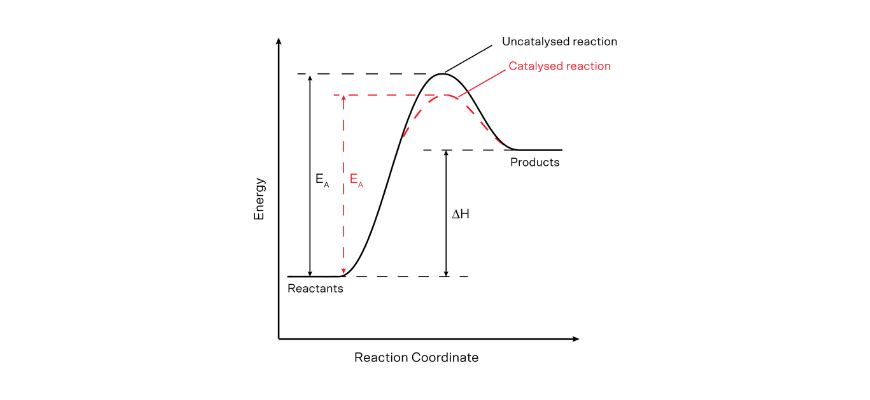 drivers of reactions mod 4 catalysed energy profile diagram