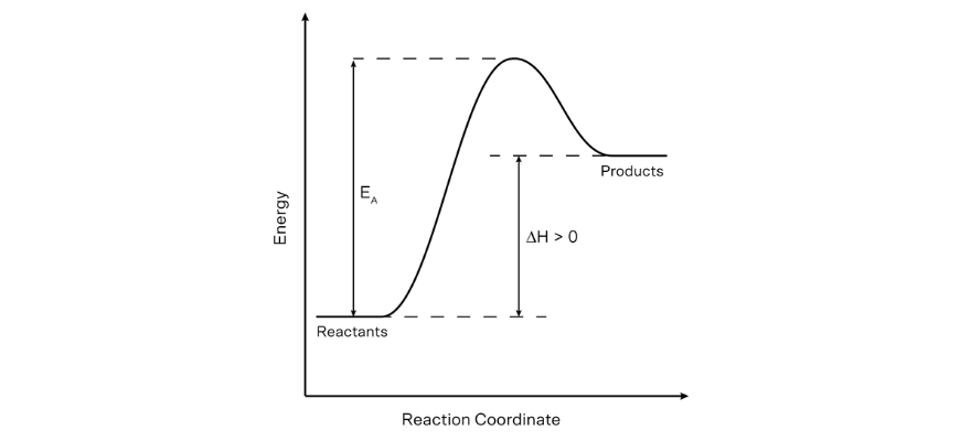 drivers of reactions mod 4 endothermic energy profile diagram (2)