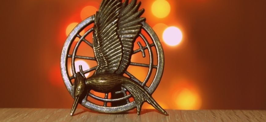 blog-english-junior-year-9-10-how-to-find-and-analyse-themes-in-texts-symbols-mockingjay