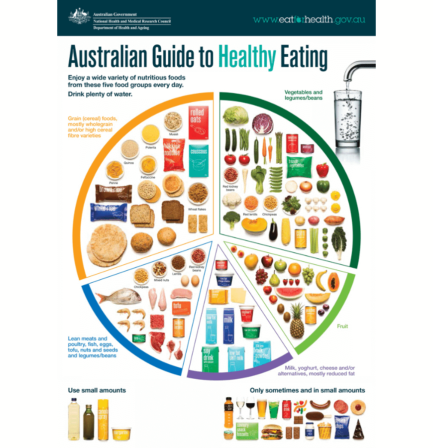 Eating Right for HSC Success - Australian Dietary Guideline Food Pie Chart (1)