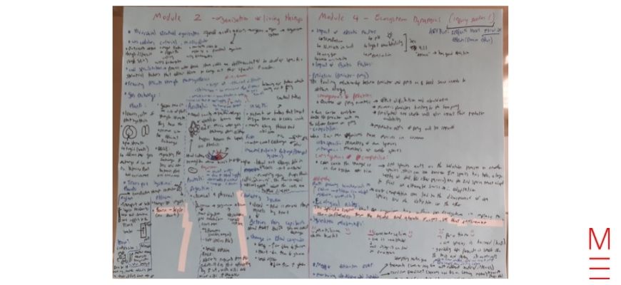 my handwritten biology notes Elvera's Hacks: How I Achieved 100% In My Chemistry And Physics Prelims My Biology notes