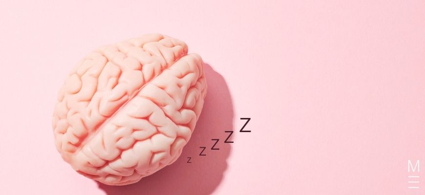 How Sleep Will Boost Your HSC hipppocampus is for sleep brain with zzzzzs coming out of it