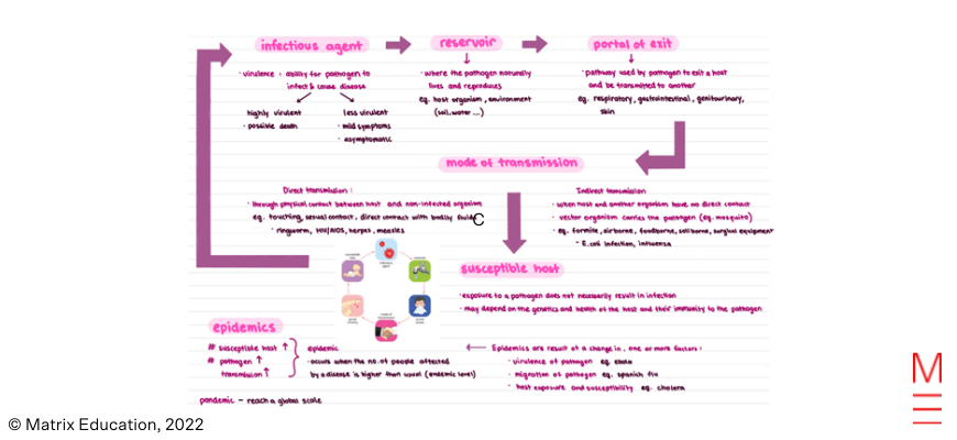 Cindy’s HSC Year 11 High School Hacks Biology notes