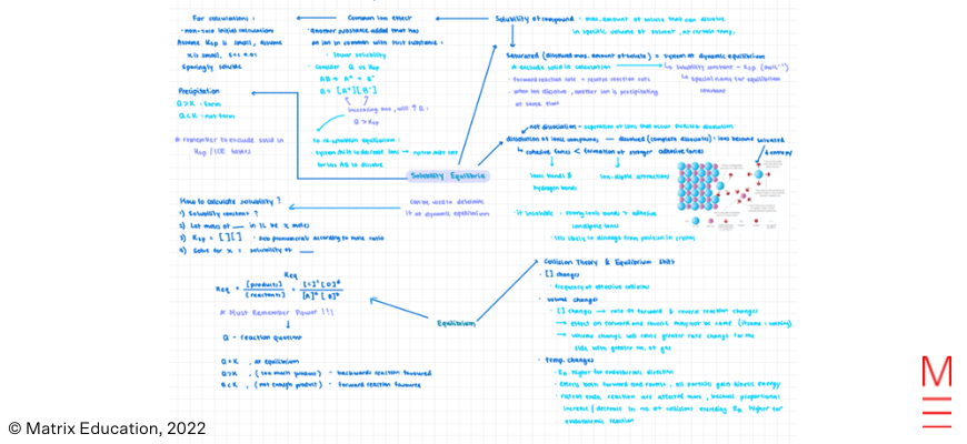 matrix education Cindy’s HSC Year 11 High School Biology Hacks 4
