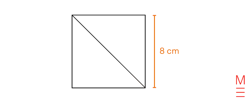 8cm x 8cm sandwich in Year 3 multiplication practice question 5