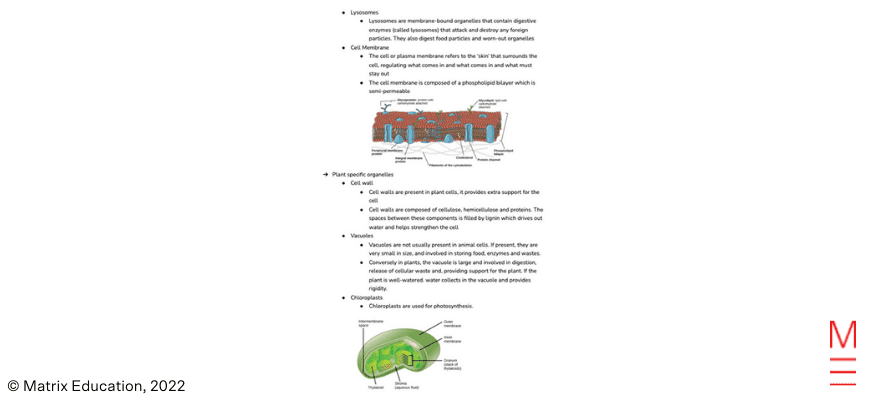 matrix education take the stress out of exam prep Afrina Tanisha High School Hacks 6
