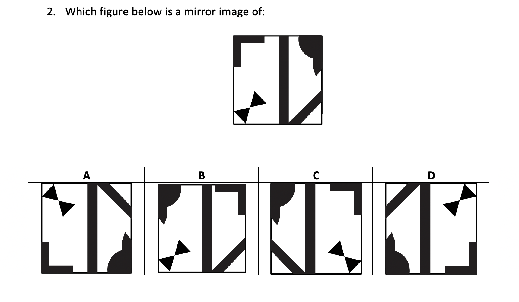 mirror image OC test thinking skills practice question