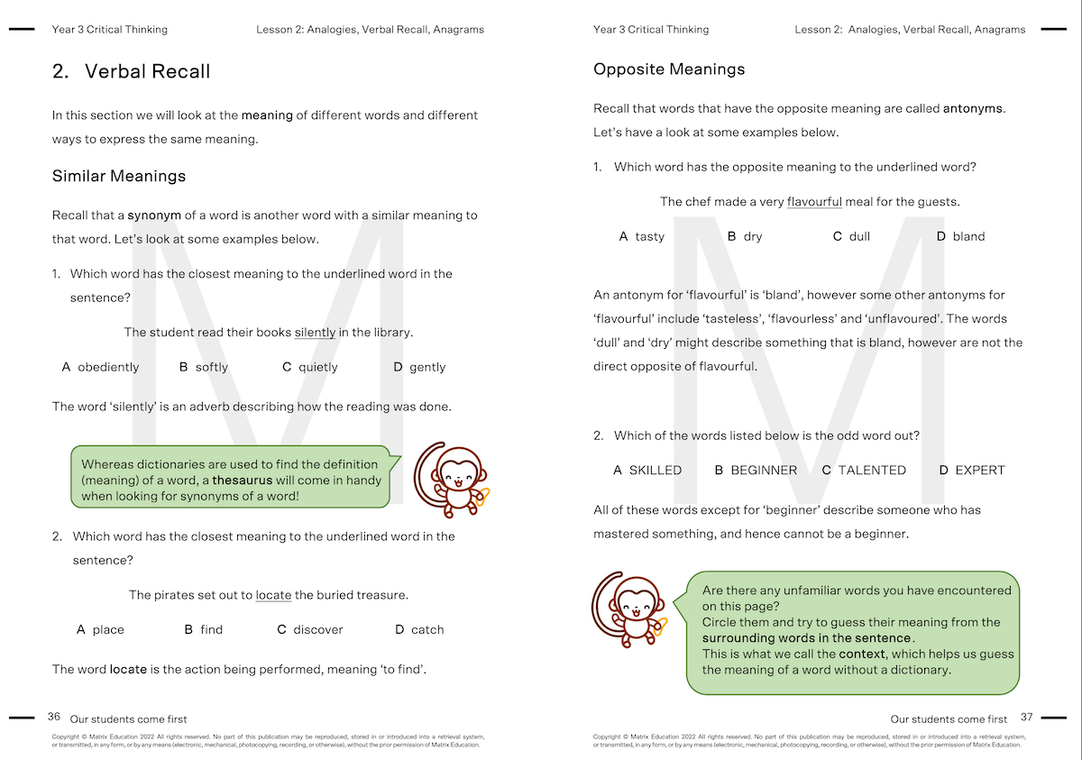 Y3 Critical Thinking Skills - Verbal Recall